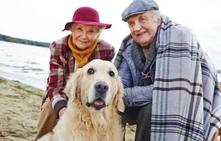 Why “Pandemic Puppy” For Seniors Might be Not The Best Choice