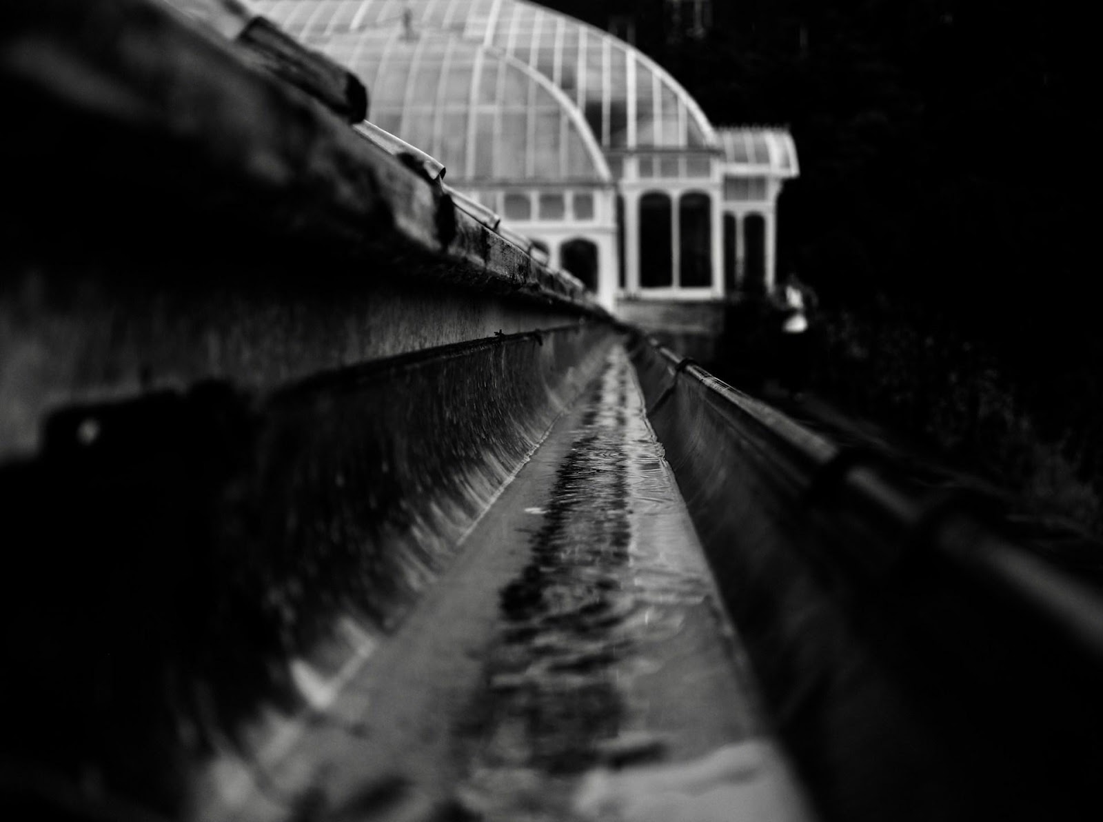 Providing Home Gutters Cleaning in Ontario
