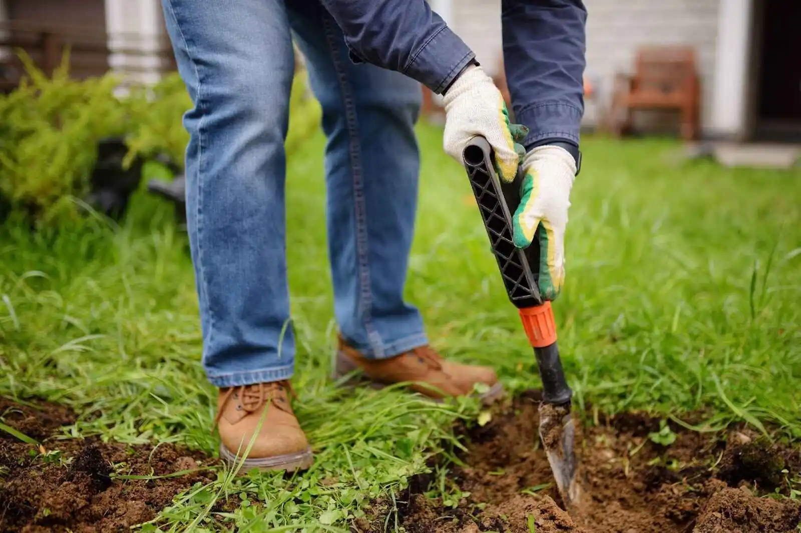 Lawn care expert removing