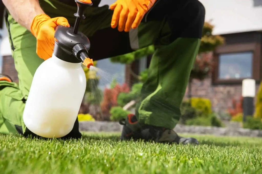 Lawn care expert spraying lawn