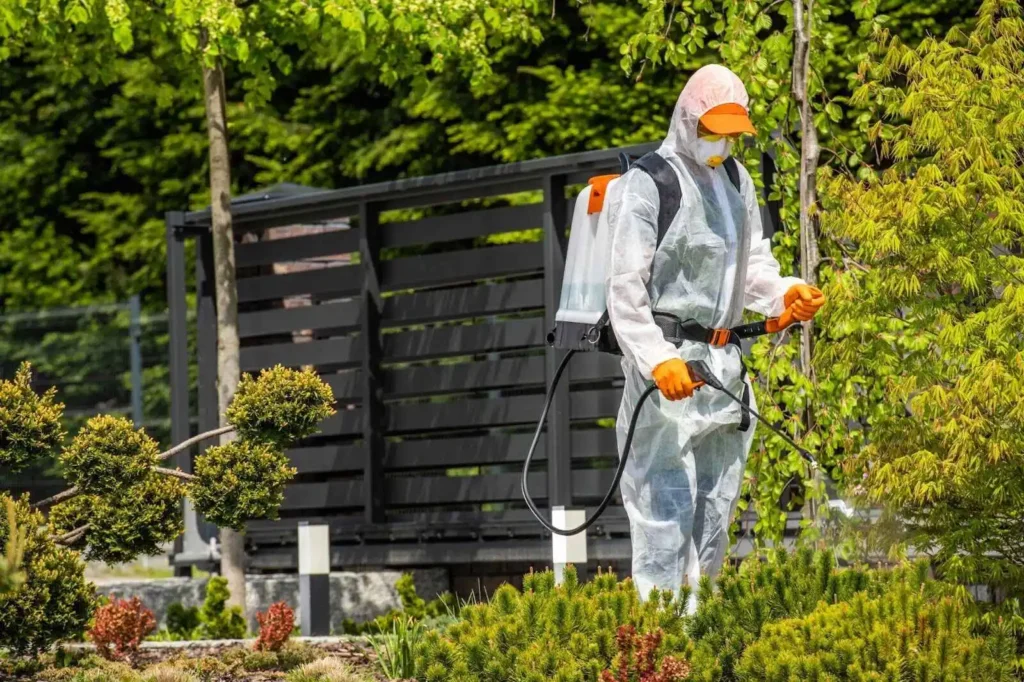 gardener safely applying pesticides to garden plants