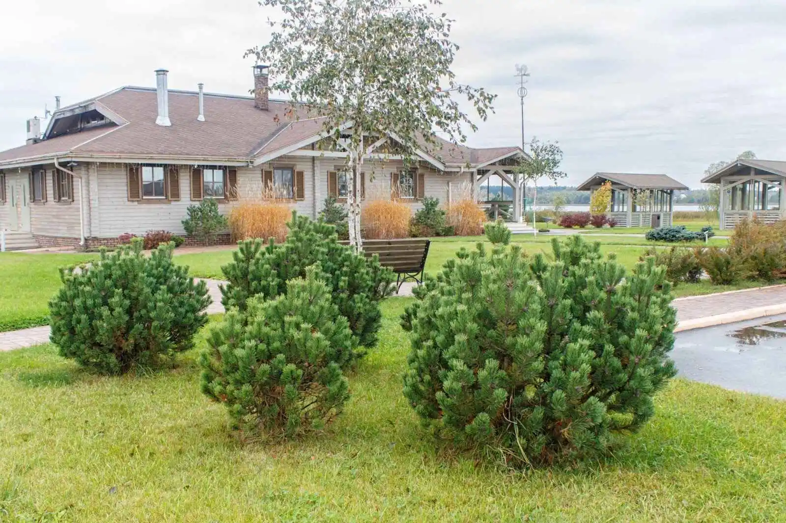 Keep Your Etobicoke Yard Healthy - A Complete guide
