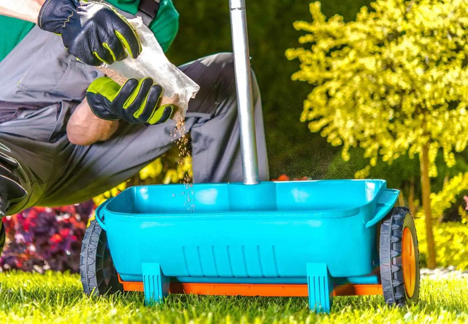 Seniors Guide to Lawn Care in North York, ON
