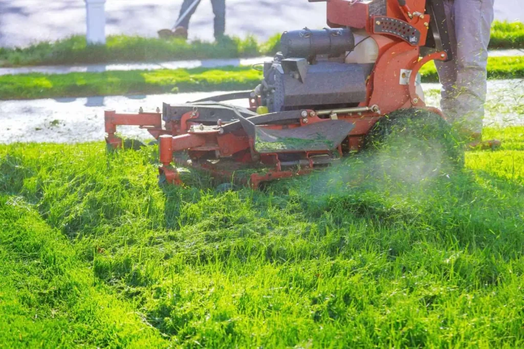 Guide on when to start cutting grass after winter