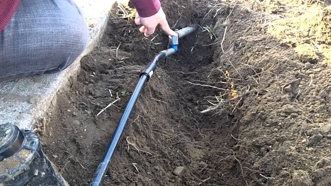 Guide on Repair A Damaged Lawn In Ontario