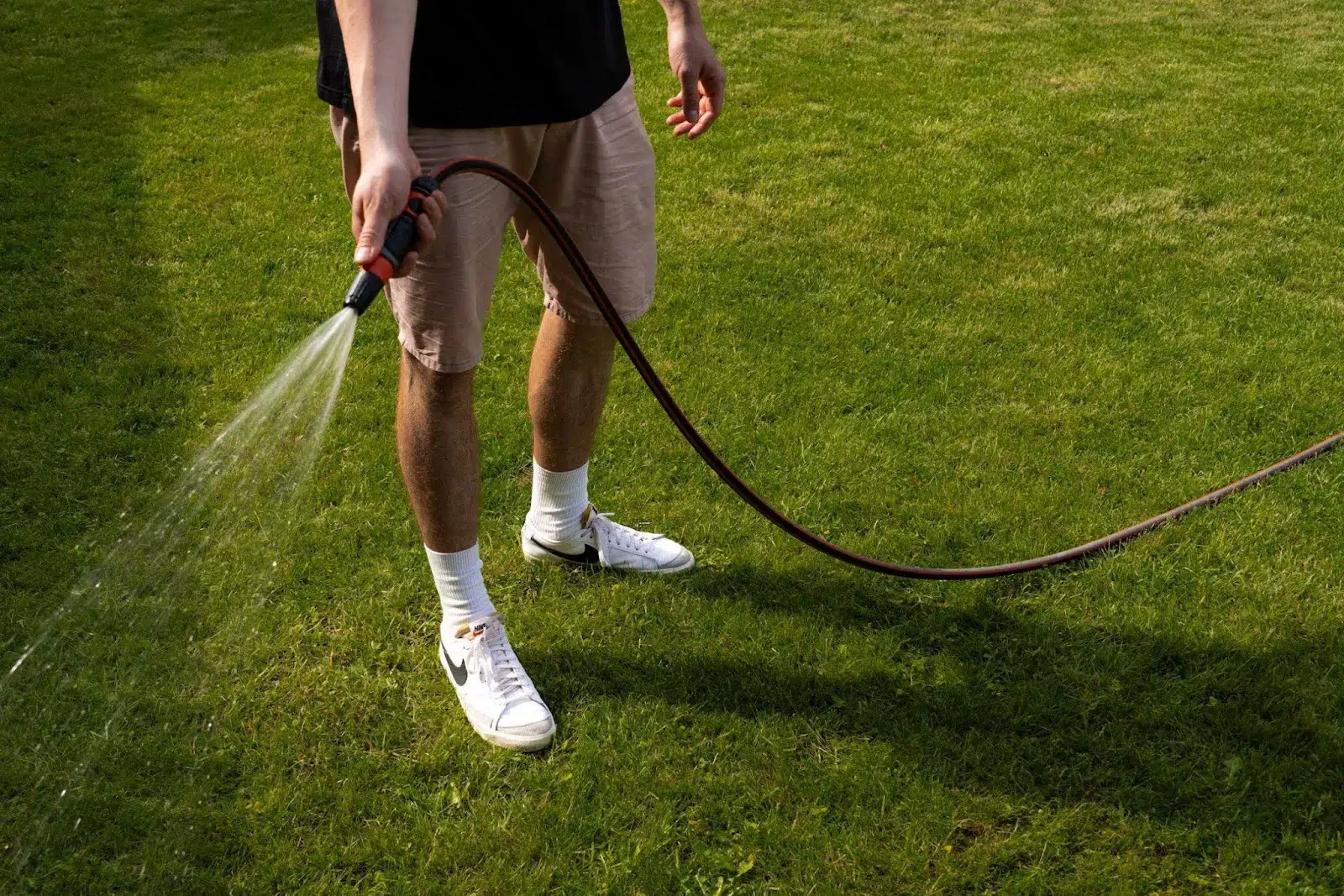 Guide on What Is The Best Time To Cut Your Lawn In Ontario?