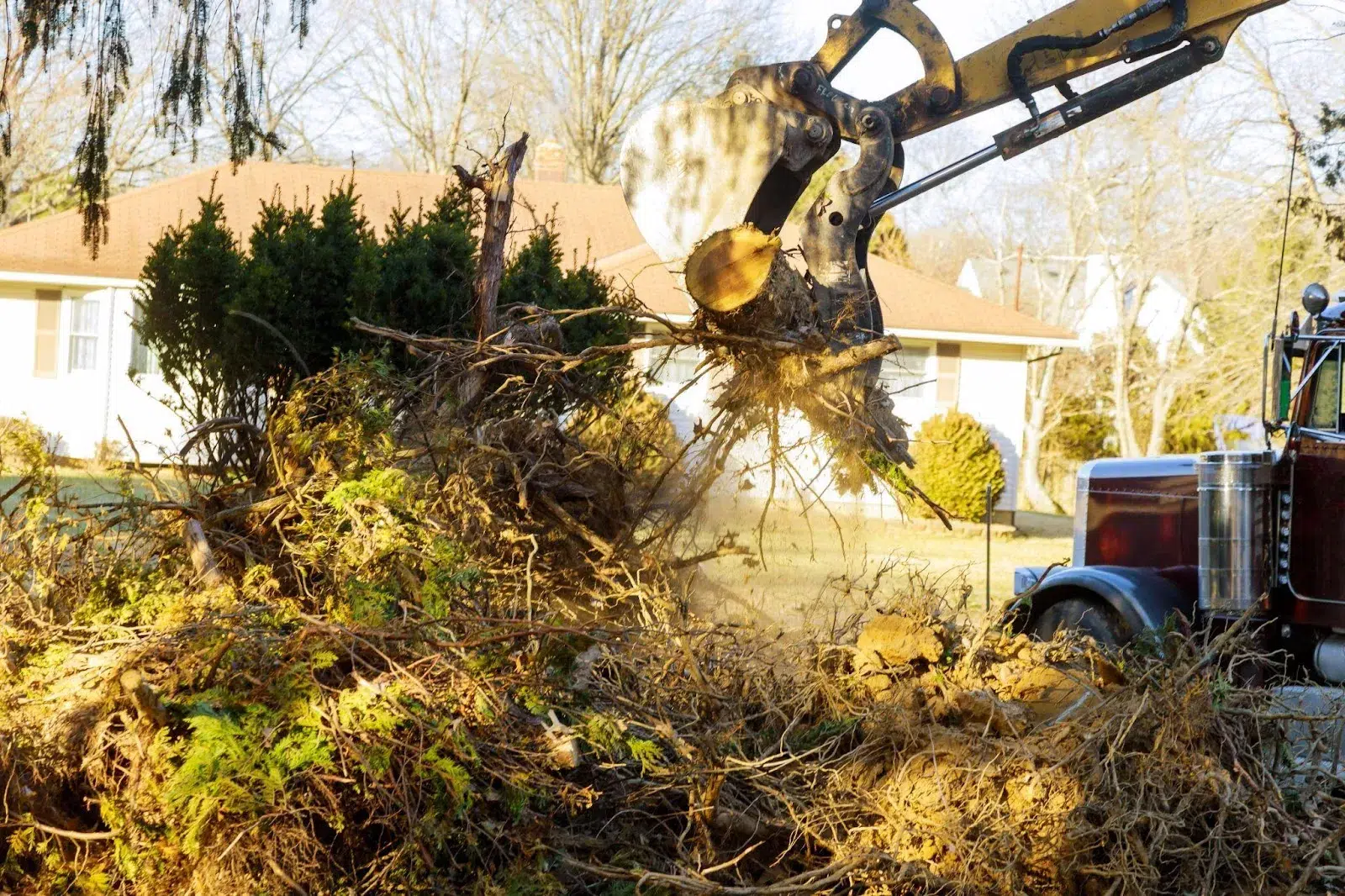 Guide on What Is The First Procedure Of CleanUp The Yard In Ontario?