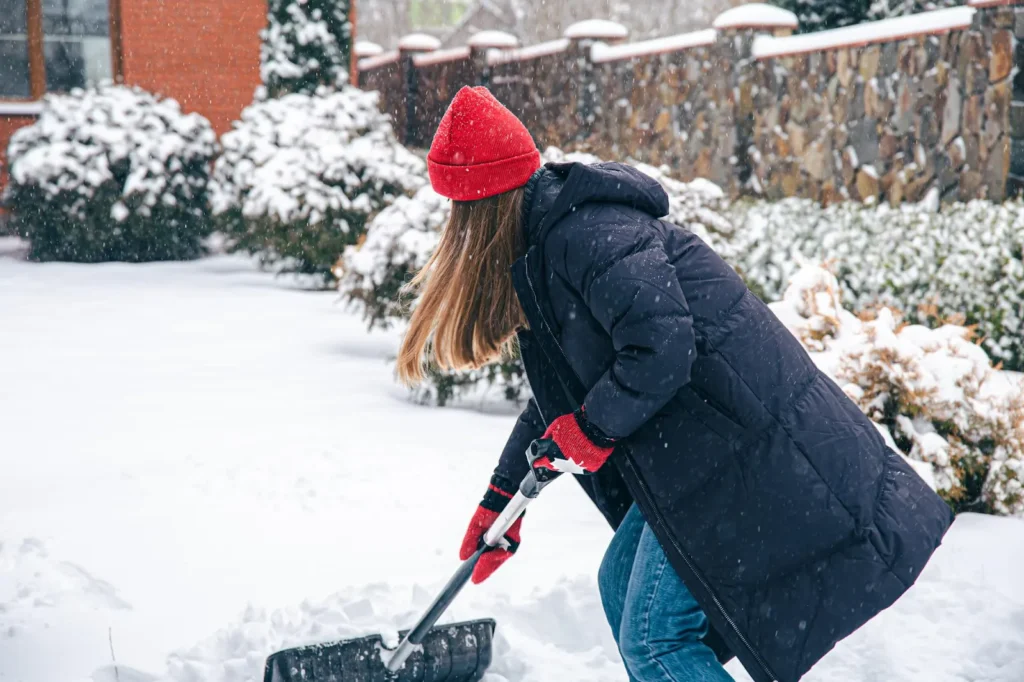 Maintaining Your Garden Through Winter