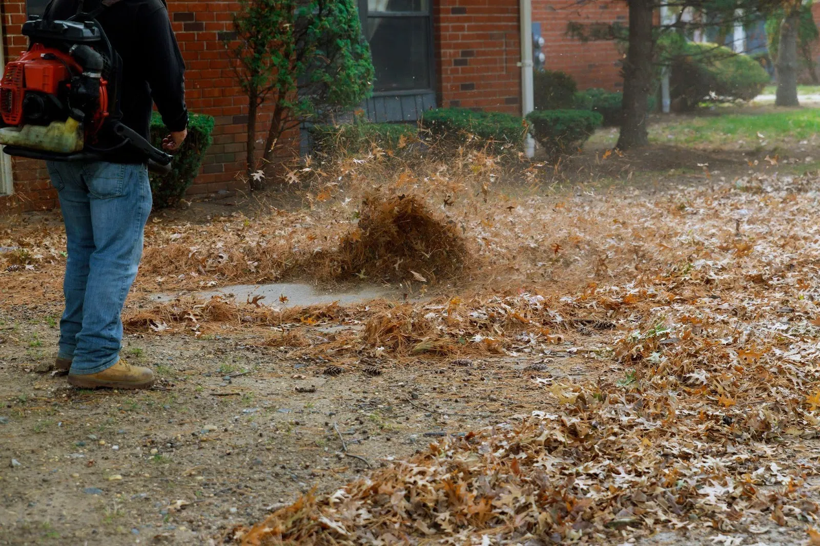 Top 10 Autumn Home Maintenance Ideas for Ontario Seniors