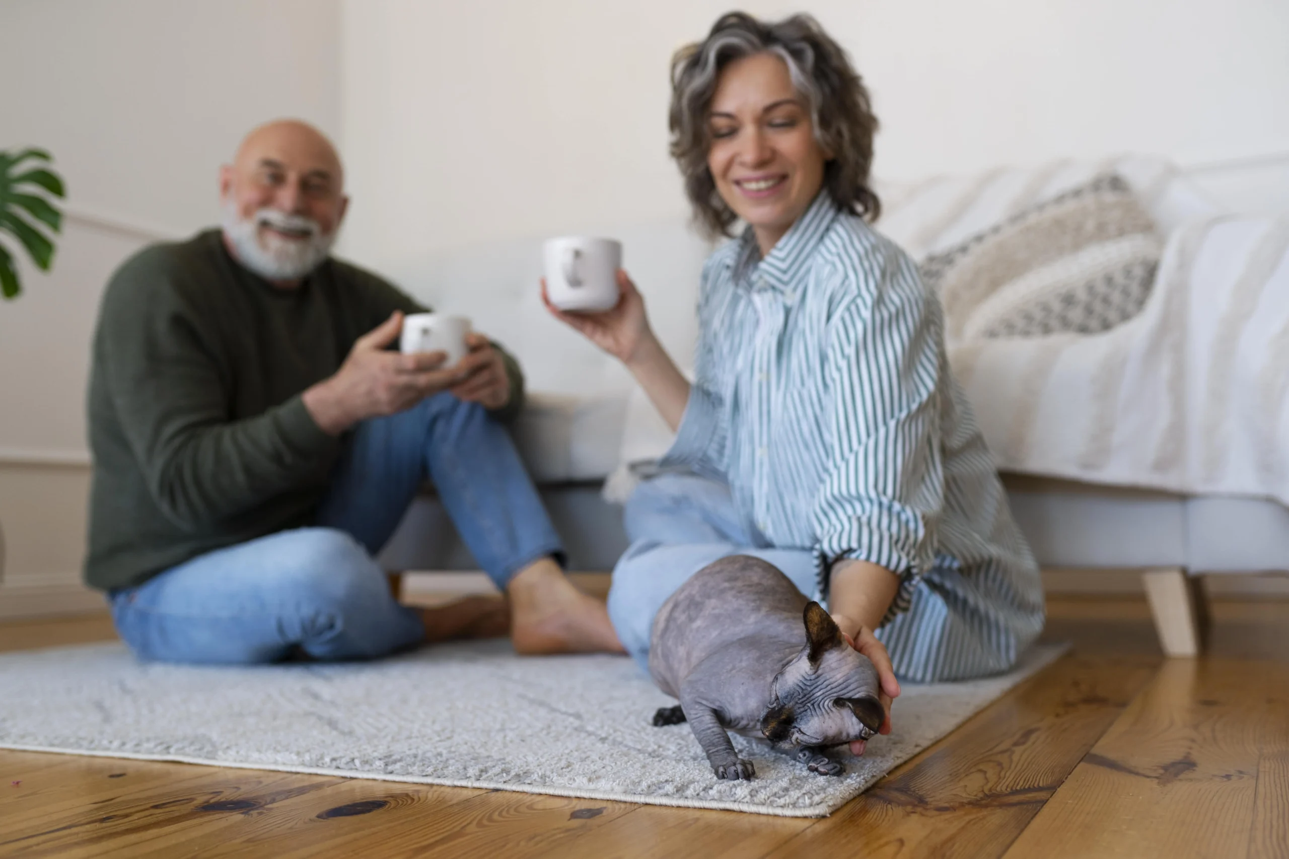 Guide on Why Seniors Love Their Big Homes