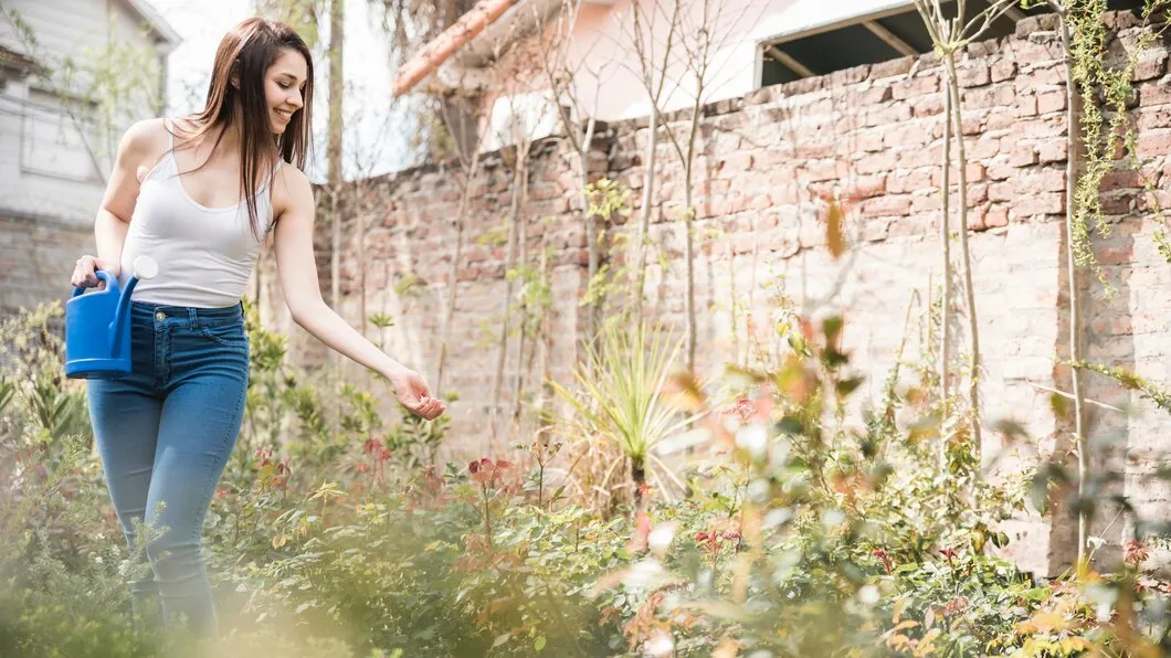Revitalize Your Outdoor Spaces