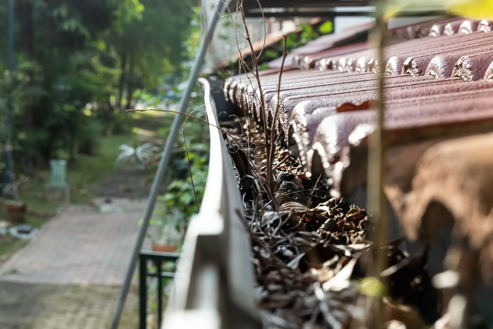 So, What Happens If You Don't Clean Roof Gutters
