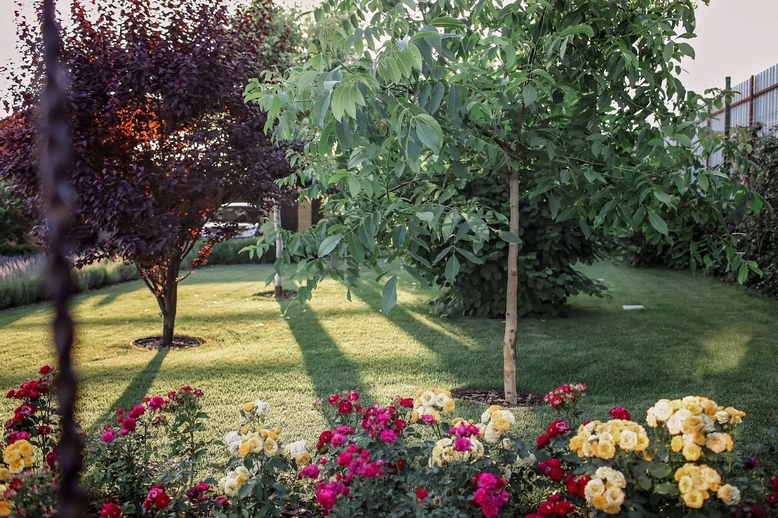 Trees and Strategic Landscaping