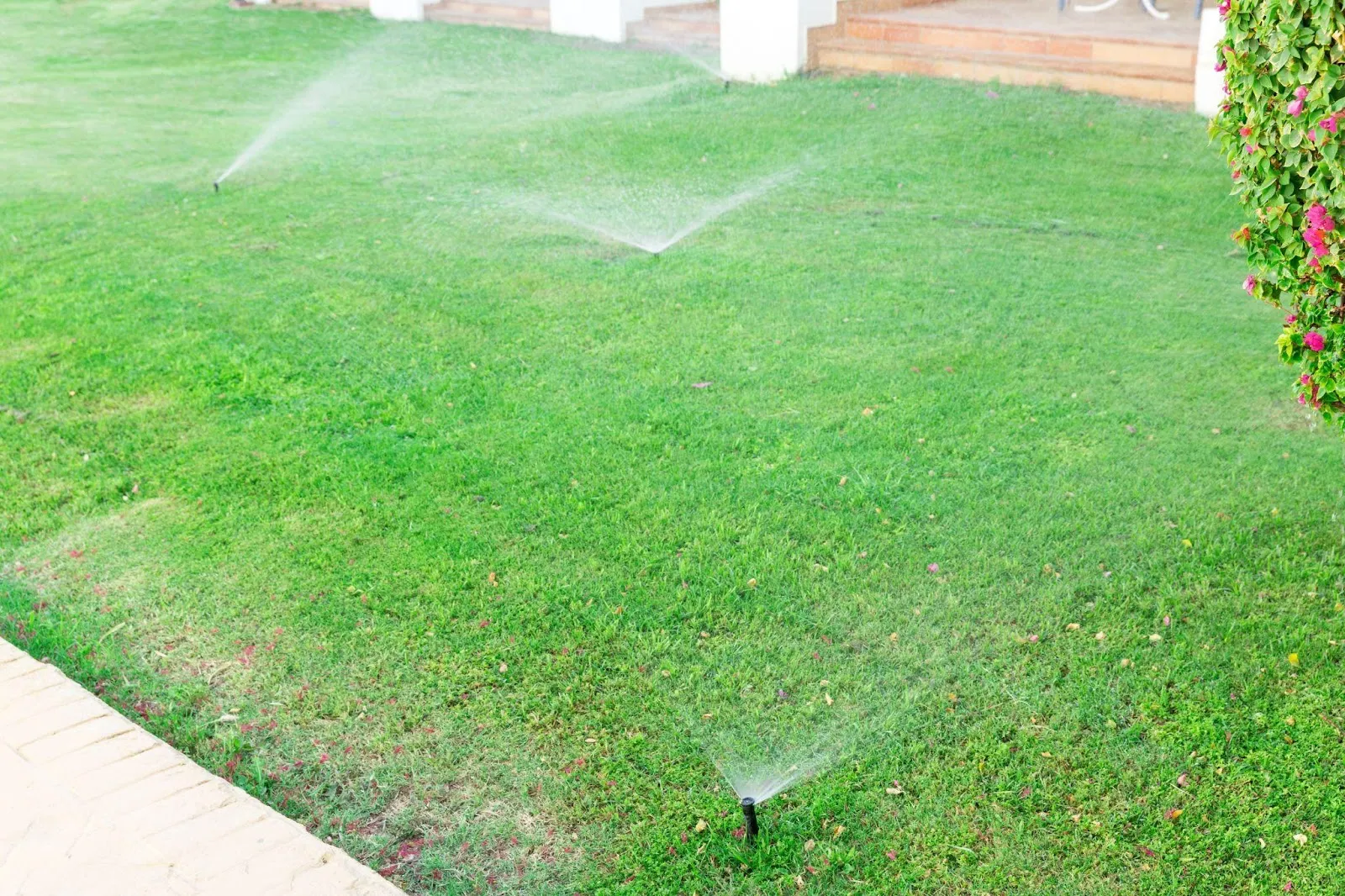 What Is The Best Time To Water Grass In The Morning
