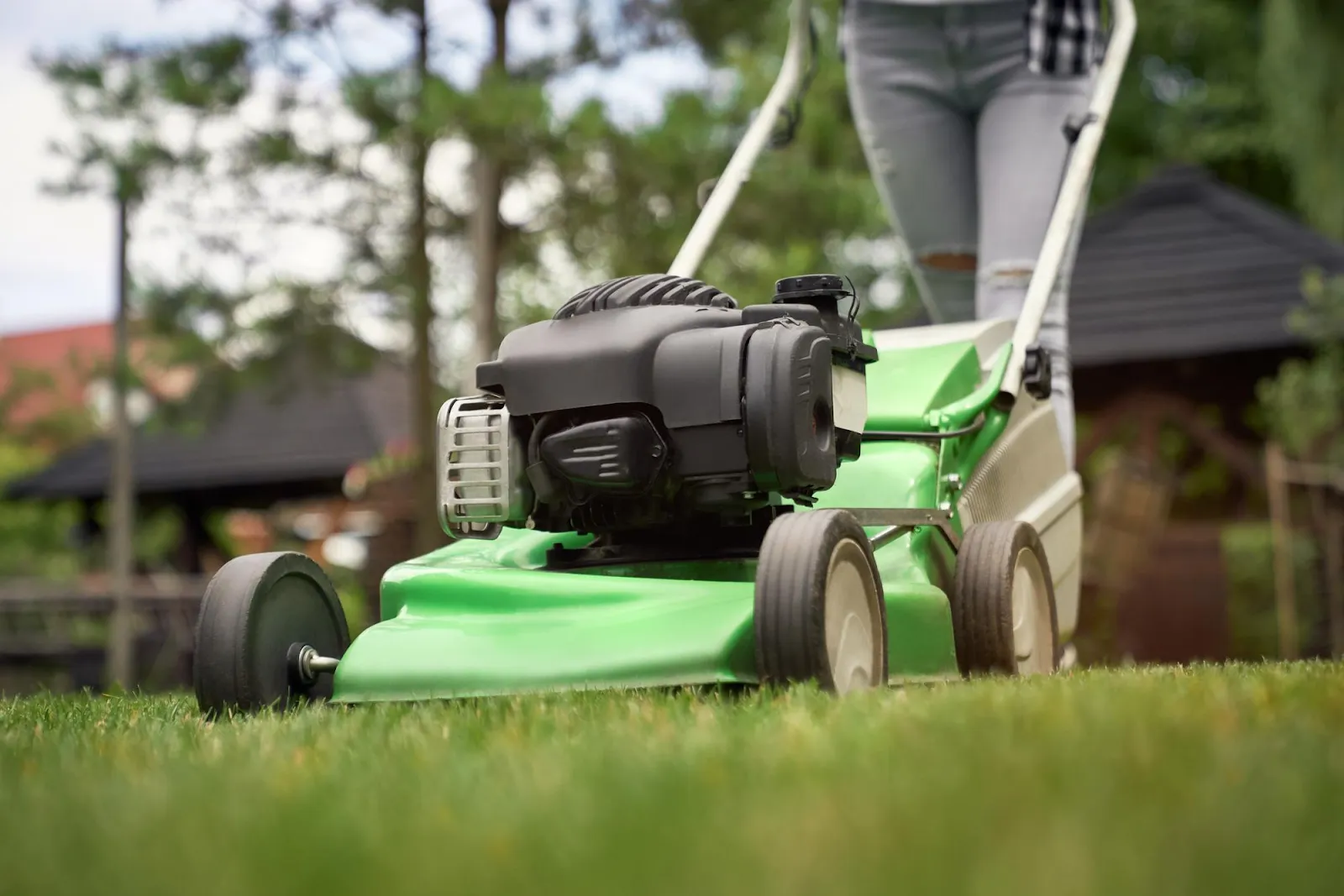 How to wrap up your fall lawn care routine