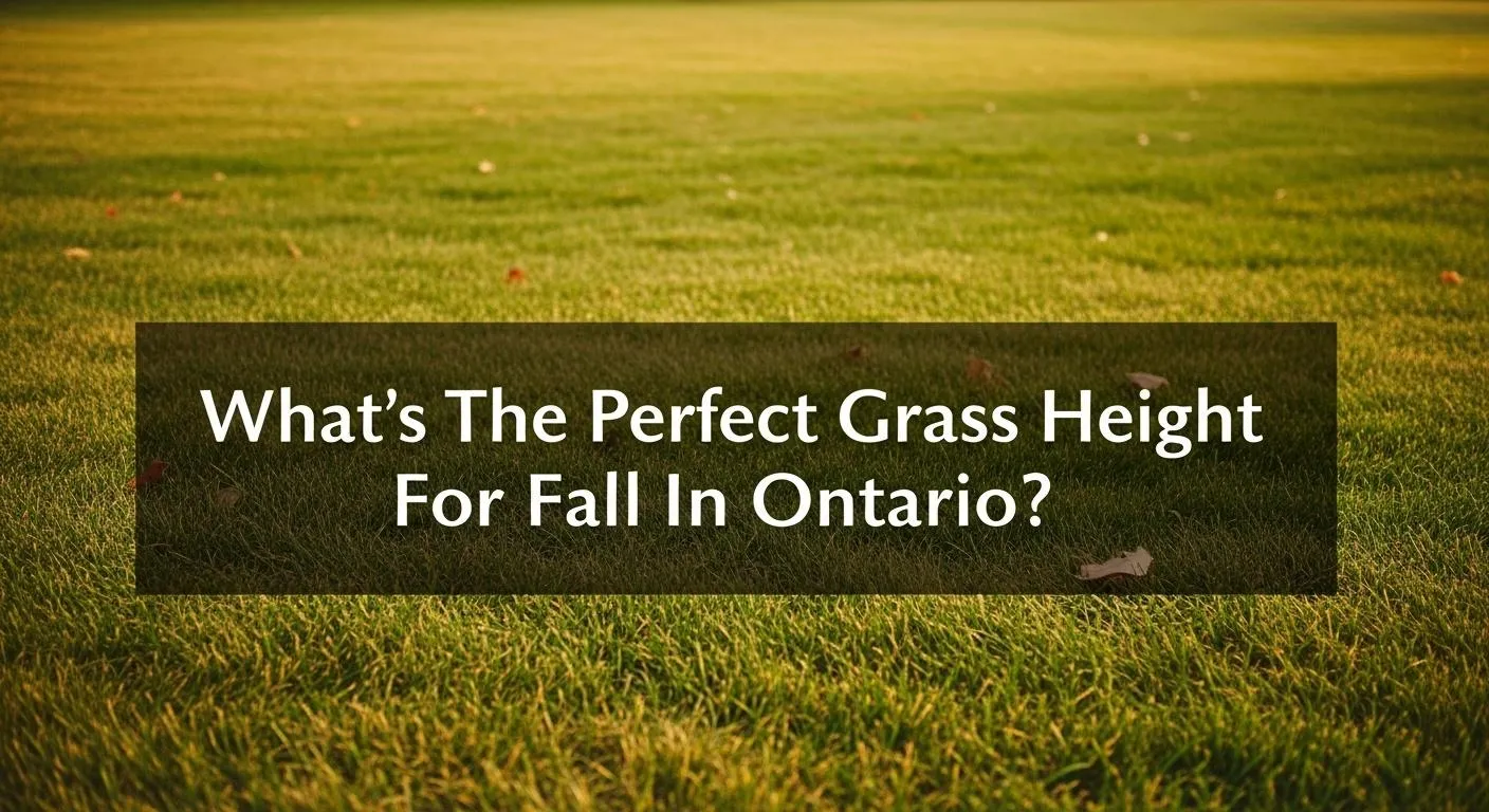 Is It Better To Leave Grass Longer In The Fall In Canada