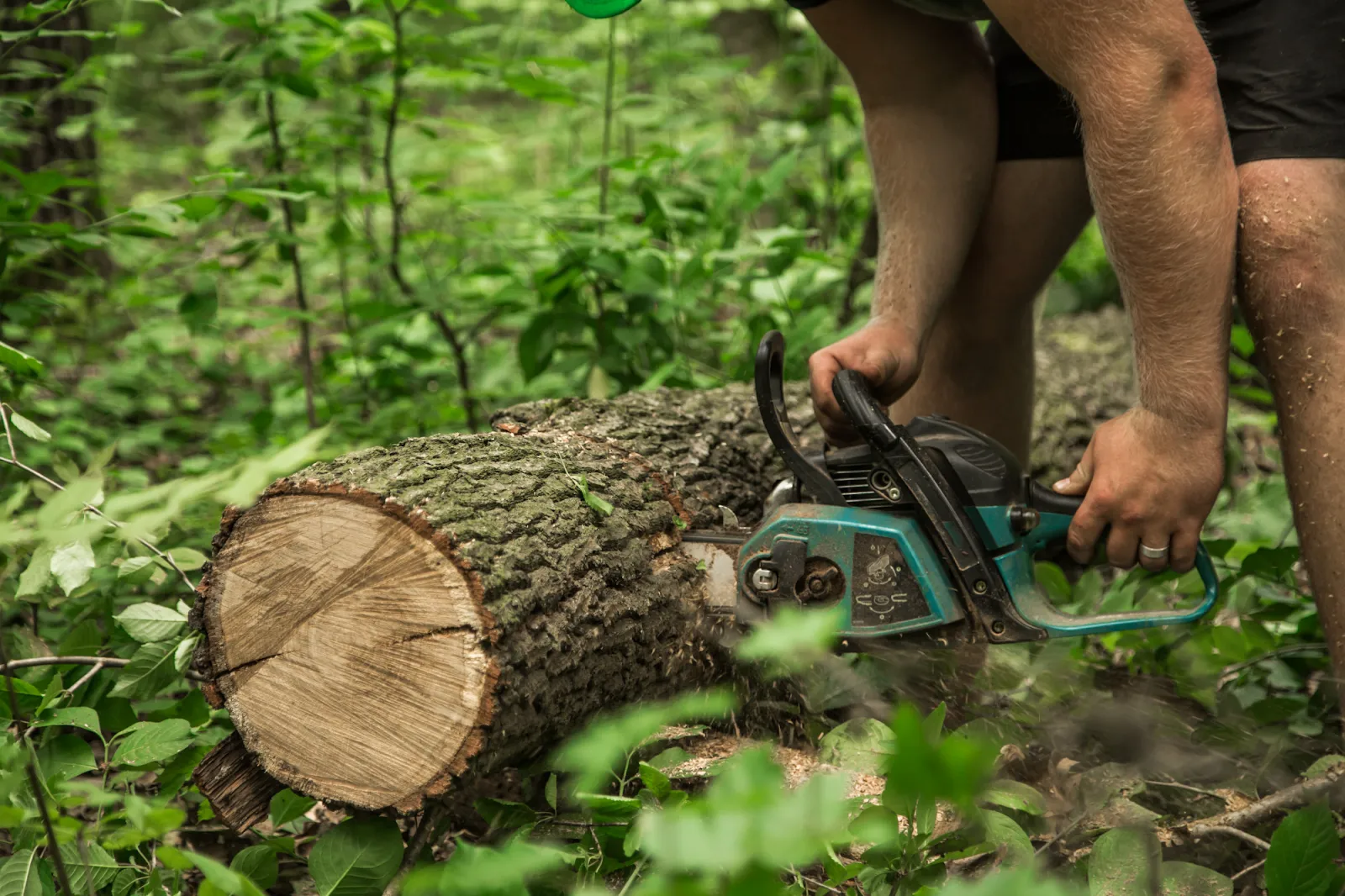 Permits, regulations, and legal considerations