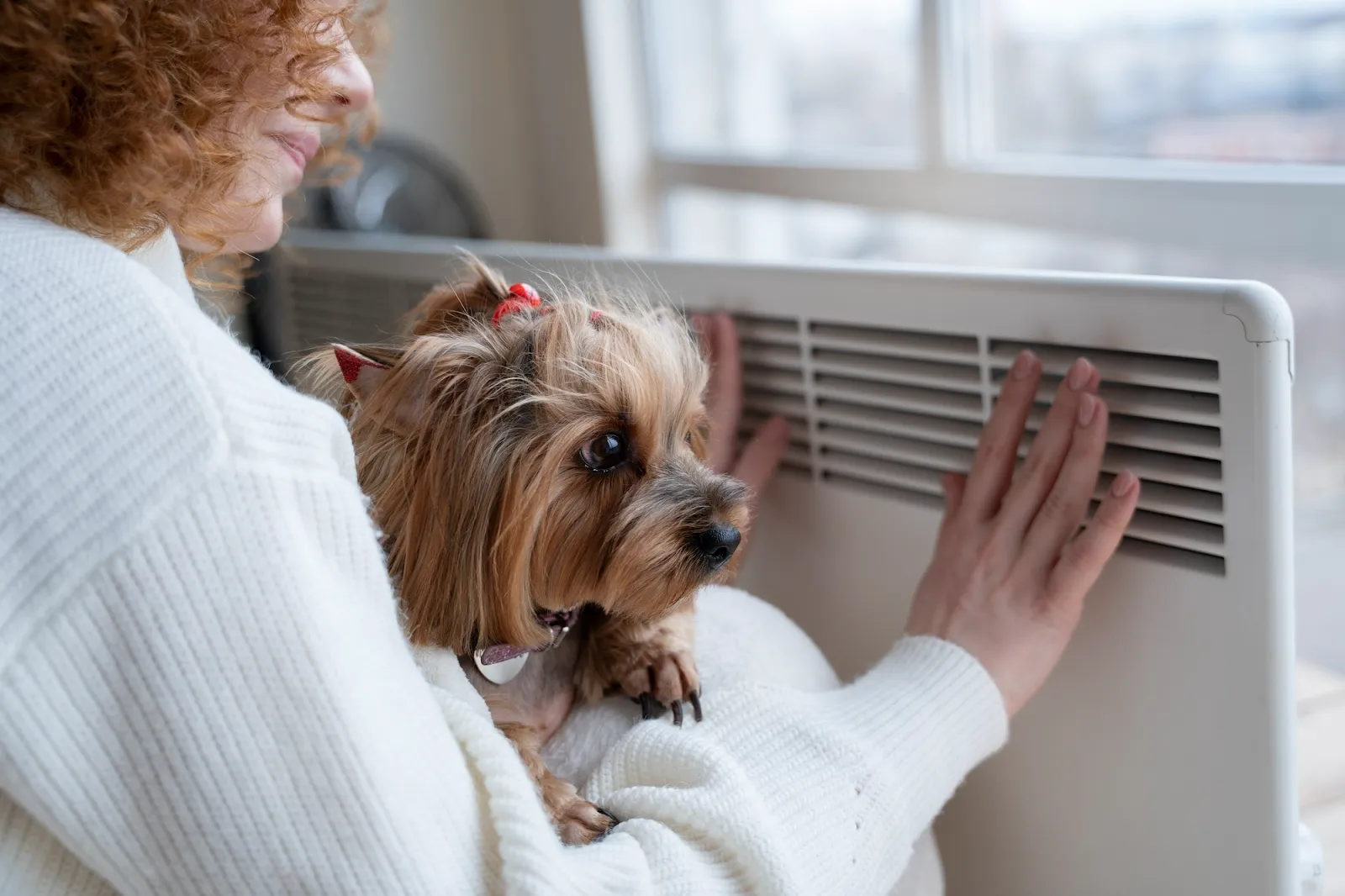 Simple tips to keep your air conditioner mold-free