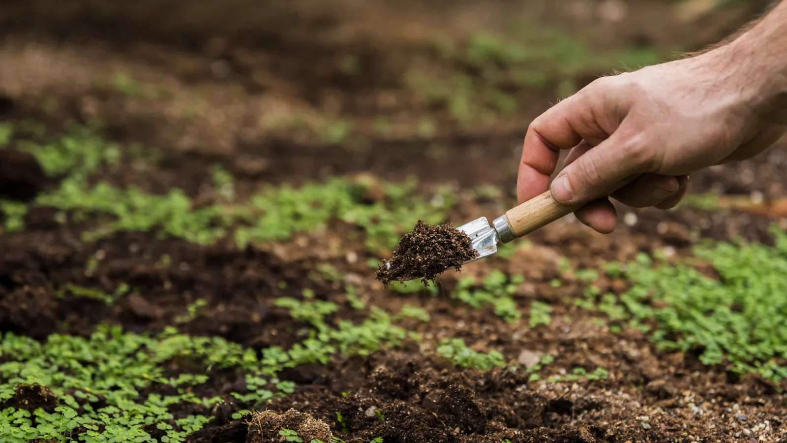 How does fertilizer work with Ontario's rainfall patterns
