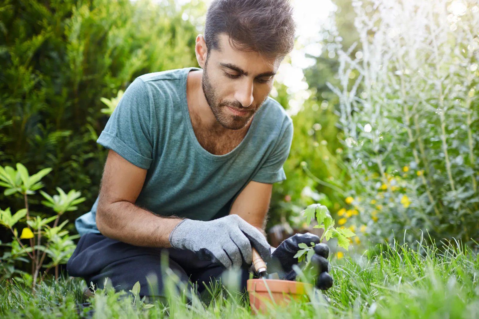 When Should You Fertilize in Ontario – Before or After Rain?