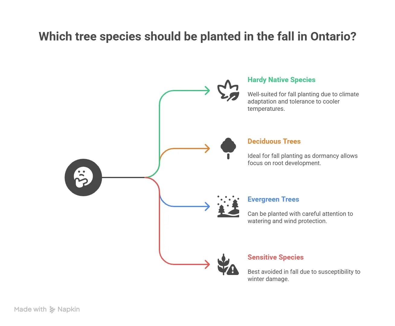 What Trees Grow Best When Planted in Fall in Ontario