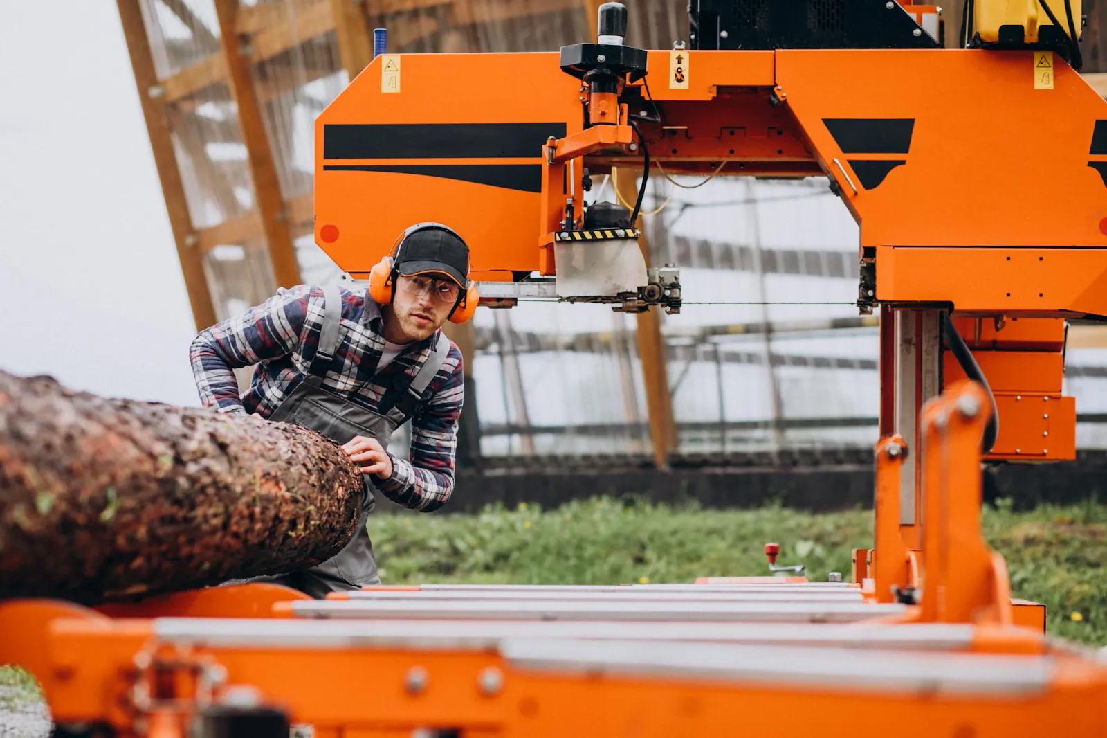 5 Important risk factors involved in tree removal near power lines in Canada