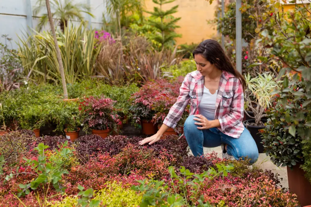 How to quickly tidy up a garden in Canadian Fall season