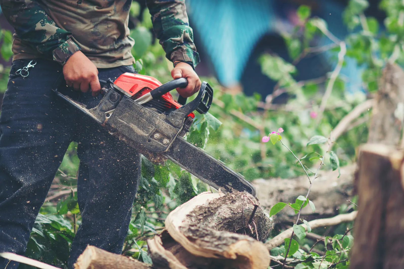Legal requirements and staying on the right side of regulations