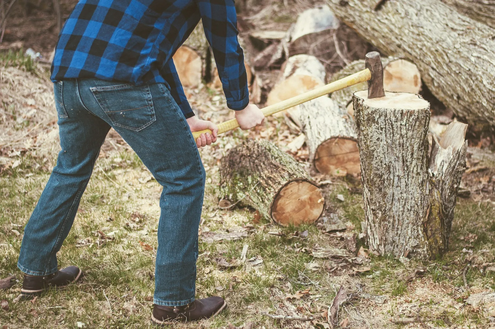 The challenge of stumps in fall
