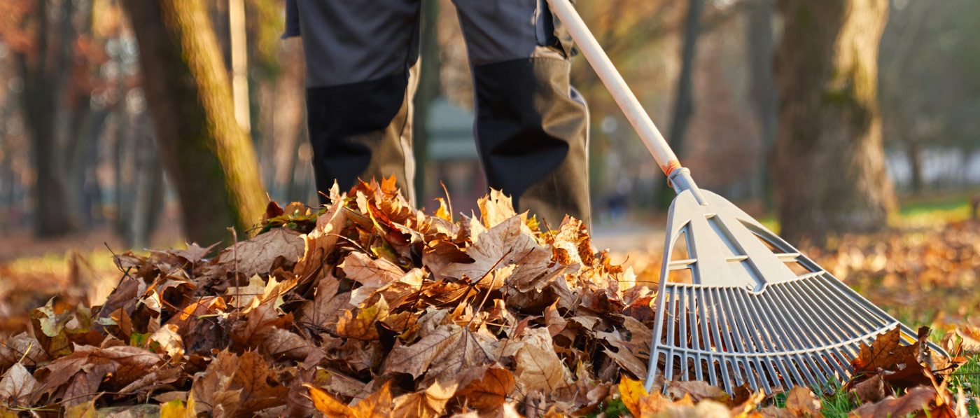 Unrecognizable man wearing uniform raking fallen leaves on a sunny day