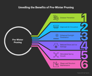 Pruning In Pre-winter Cleanup