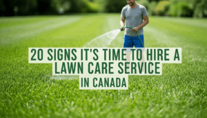 Treating the Symptoms Instead of the Cause