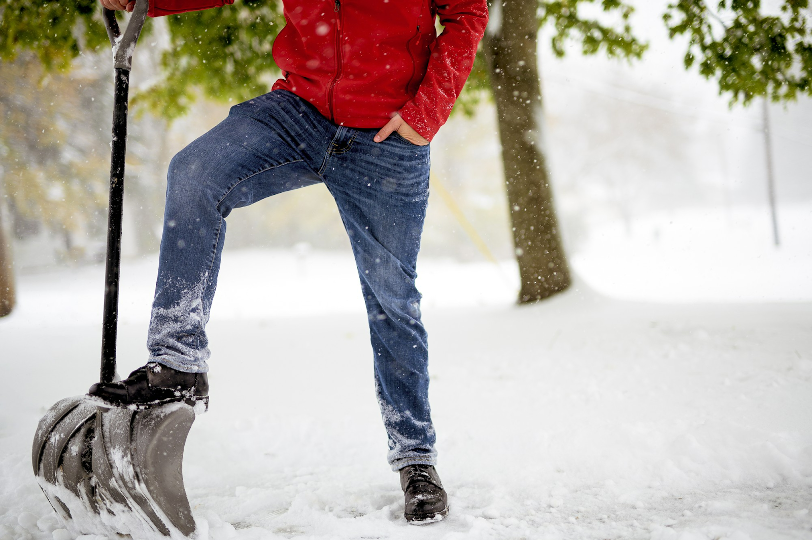 What do professionals use on lawns in Canada during winter