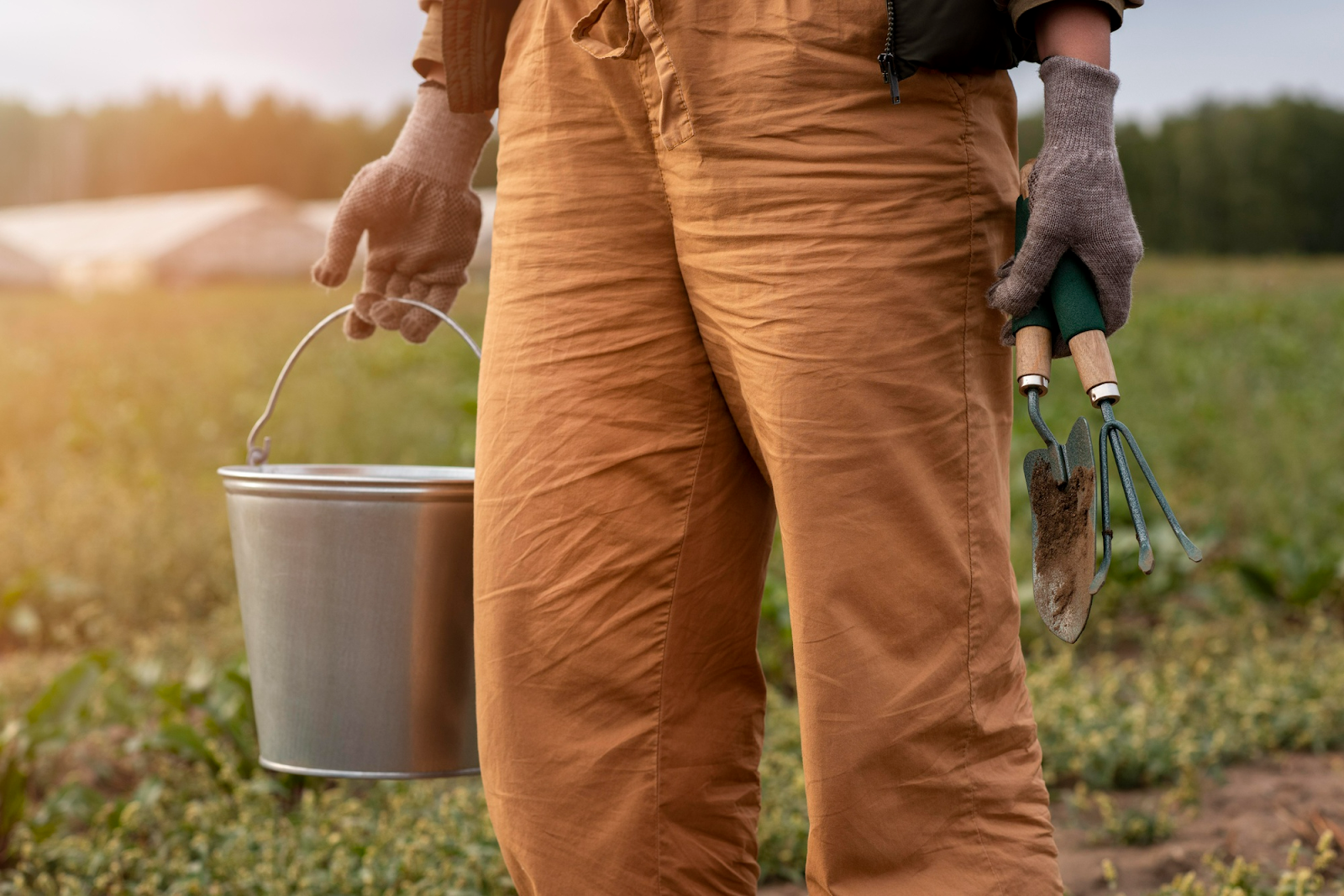 What is the most common mistake of first time gardeners for Winter in Canada