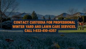 FAQs Winter Lawn Care in Ontario