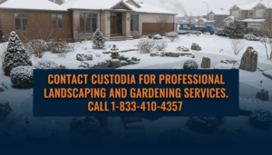 How Zen Gardens Became Popular In Canada