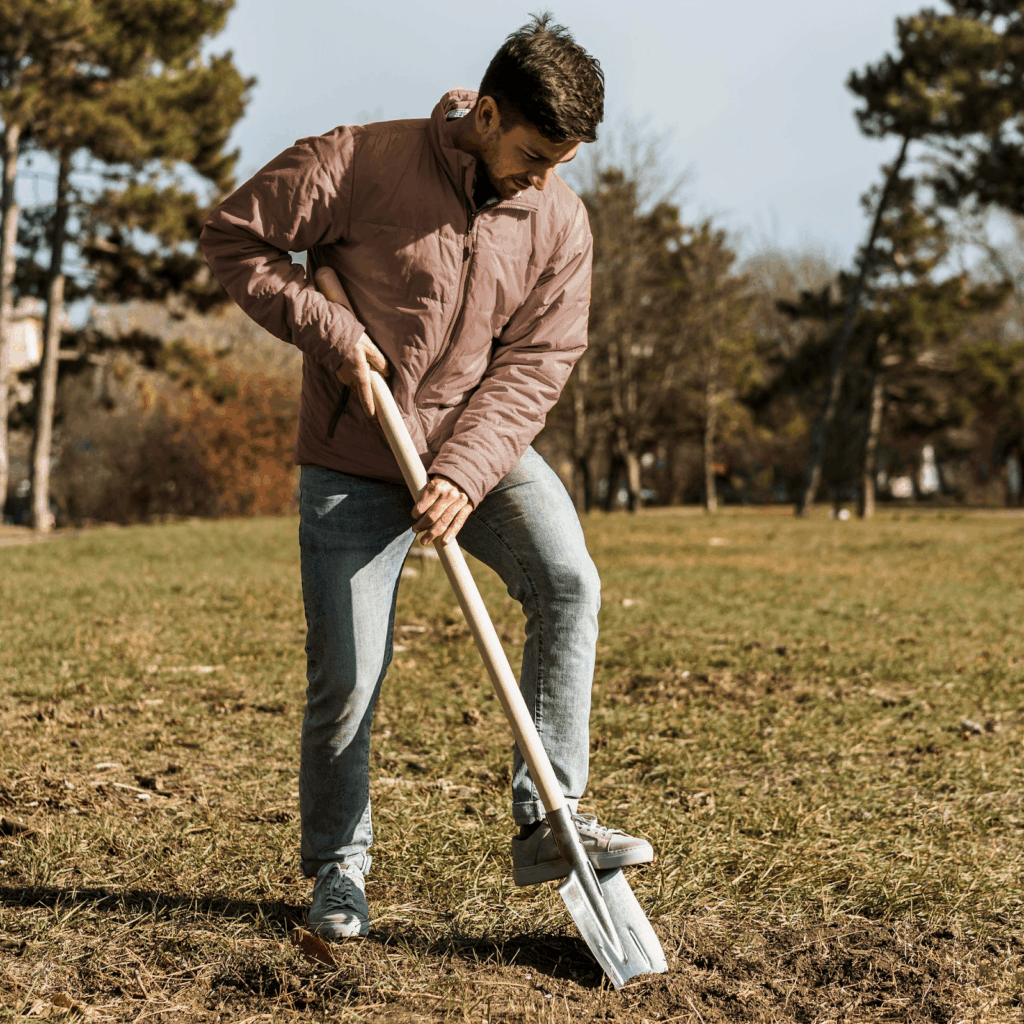 How to prevent grass from going brown during winter in Canada