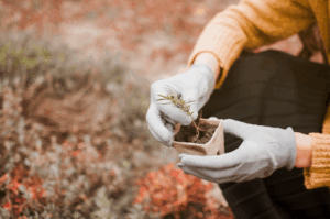 Planning and preparing for spring success