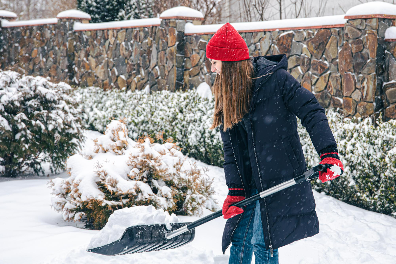 What to use to protect grass during winter in Canada