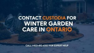 Why Are Plants Killed In Winter By Frost