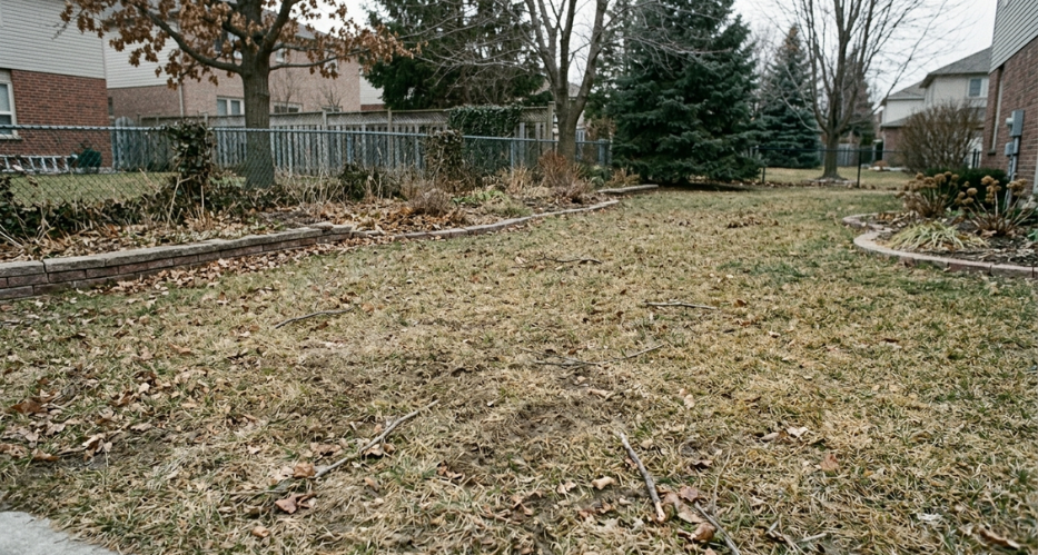 Spring Cleanup in Canada