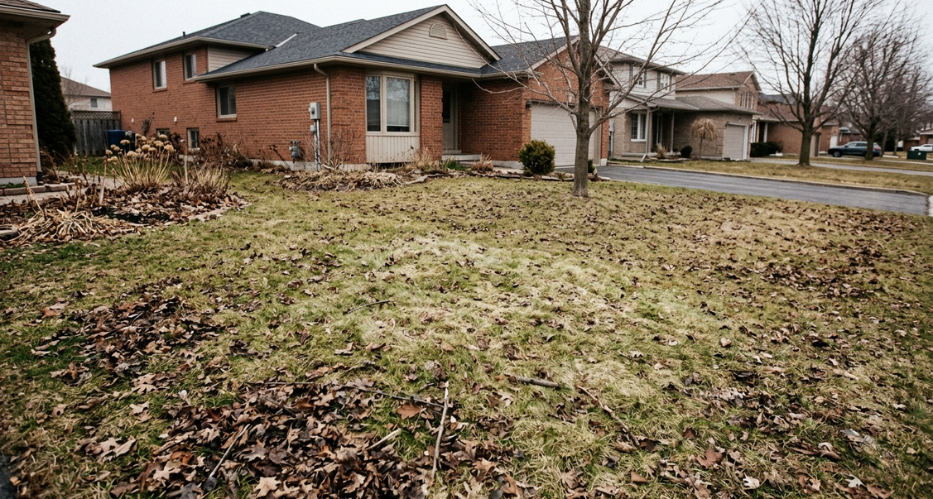 5 Rules Of Smart Yard Cleaning In Canada During Spring