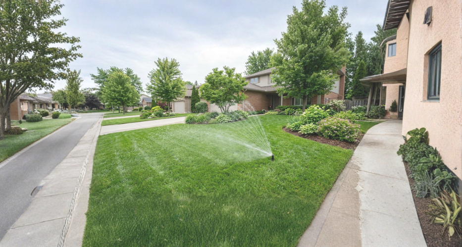 When Should You Overseed A Lawn In Canada